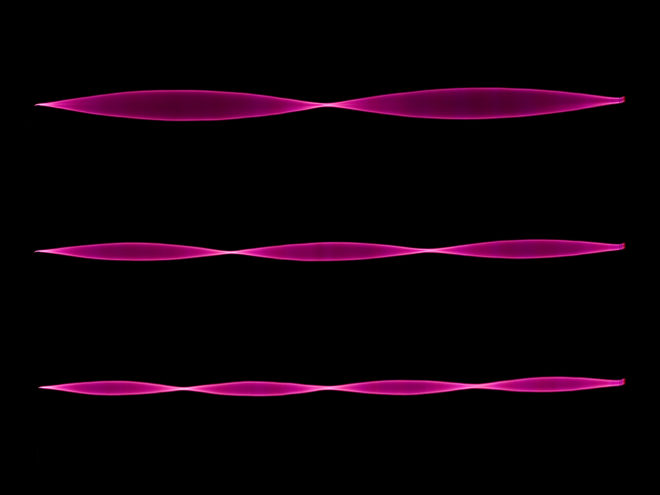 Everything Is a Harmonic Oscillator